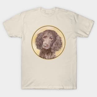 American Water Spaniel T-Shirt